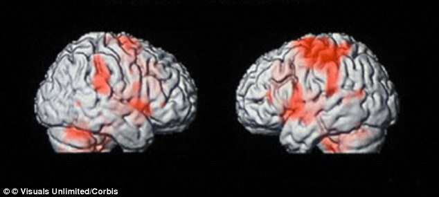 The scientists used an fMRI scans (similar to those pictured) to find that neural changes created by reading the novel were associated with physical sensation and movement systems - suggesting that reading a work of fiction can transport a person int