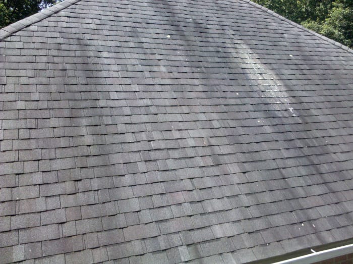 Discolored buildup on asphalt roof shingles is frequently caused by algae, not mold or mildew.