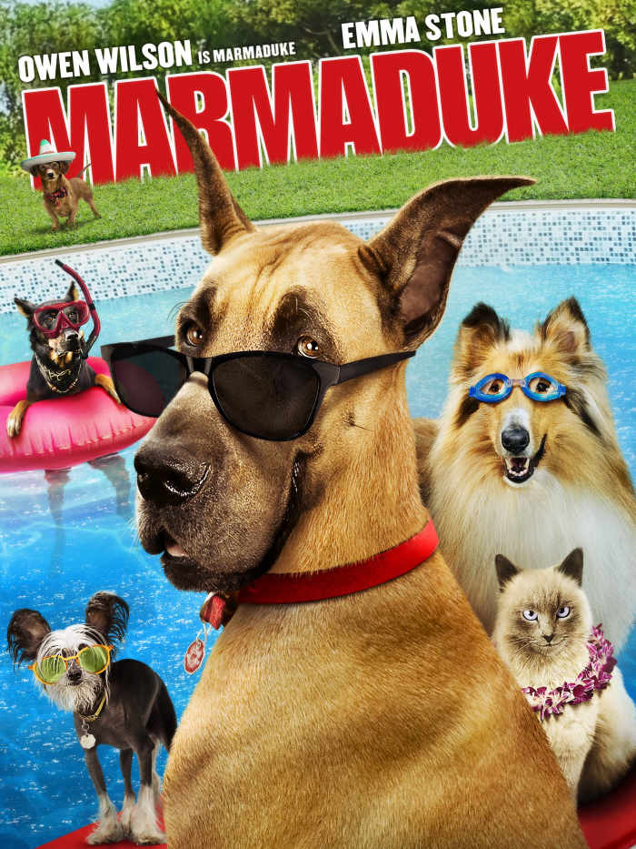 Movie Review of Marmaduke the Movie (2010 Movie) HubPages