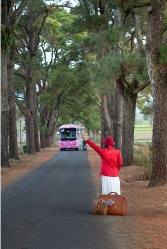Women Catching The Bus