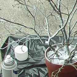 Branches from a real tree, cement mix, clay pot and white spray paint can be made into a gift money tree for any occasion.