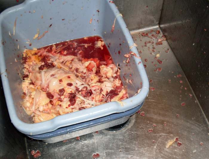 Waste disposal will vary with your situation. You may compost meat bits, but know your regulations. Be aware that if dumped out, any free-range birds will clean up the leftovers.