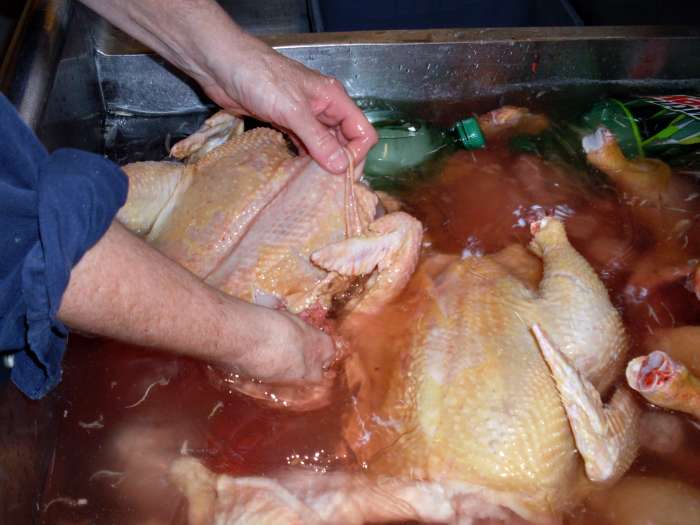 Notice where the skin is especially yellowed or fatty. Rub off these yellow portions, if it comes easily, with your thumb. Also get rid of pin feathers and other feathers.