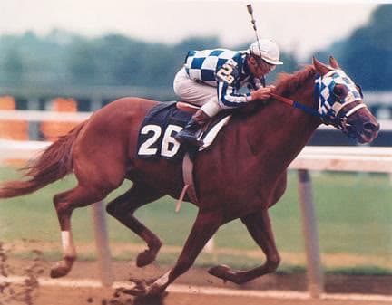 secretariat racehorse