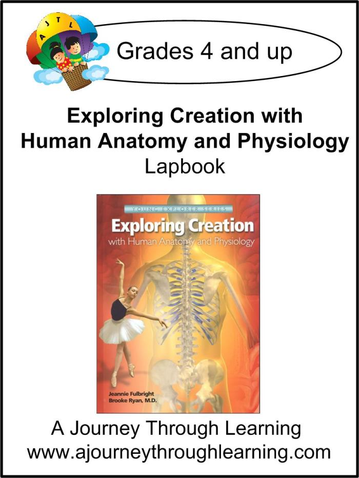 Here is the long awaited Anatomy Lapbook to go along with Jeannie's wonderful book, Exploring Creation With Human Anatomy and Physiology.