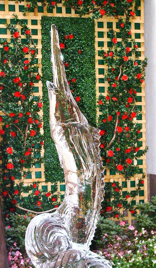 Beautiful trellis laden with roses creates an unexpected and stunning background for an ice sculpture of a swordfish on display outside the elegant Dover Downs Hotel in Delaware.