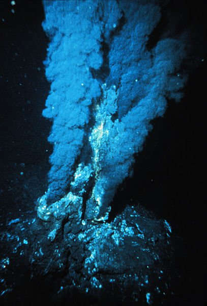 Deep sea vents like this one may have given birth to the earliest life forms through the energy they give.