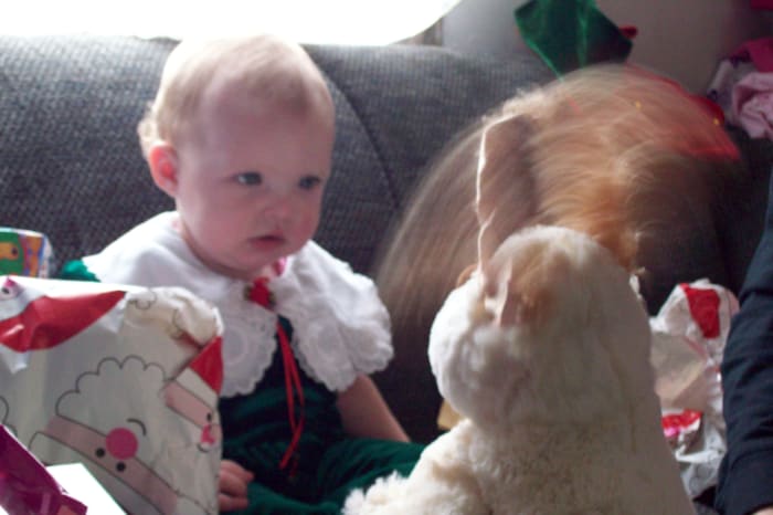 This was taken of my granddaughter Leah's first Christmas in 2010. This serious expression was caught on camera. Cherished memories aren't always displayed with pictures.