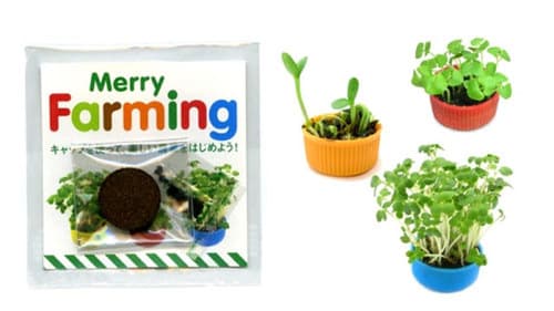 If bottles take up too much space (or you just think they're ugly) or you're looking for a more kawaii (cute) idea. Why not try planting in bottle caps?