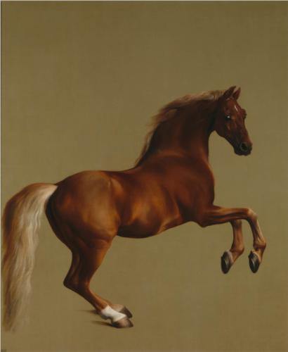 "Whistlejacket" by George Stubbs (1724-1806), currently on display at the National Gallery in London.