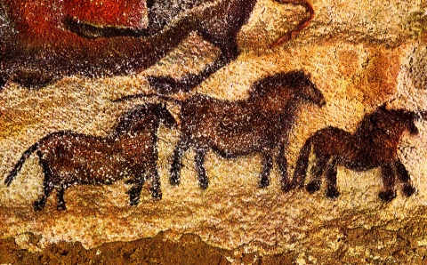 Three tiny horses painted on one of the Lascaux cave walls in southwestern France. Horses are the most common animal to be found on these walls and these paintings are well over 16,000 years old.