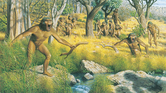 The acacia group attempting to defend themselves from strange australopithecines. Unfortunately, a numerical disadvantage meant that they were driven out of their territory.