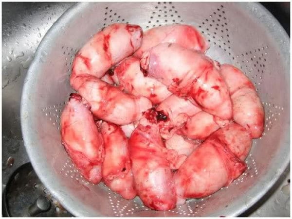 Rocky Mountain Oysters One might be tempted to think that these oysters can’t be much different from the ones you find at the bottom of the ocean, while they are, in fact, something totally different. A buffalo’s fried testicles got this name becau
