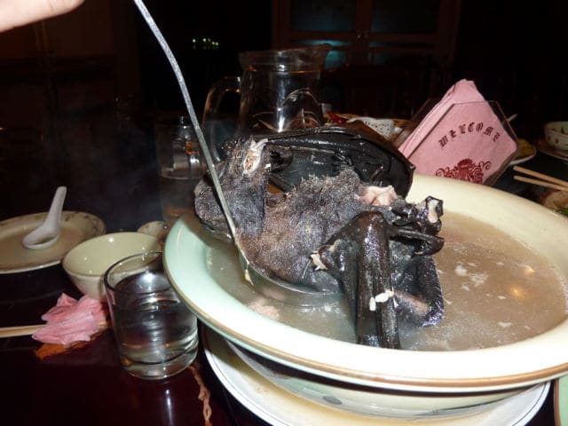 Bat Soup -Even though bats are considered to be notorious disease carriers, they are still served in soups cooked mainly in Thailand and Guam, some parts of China even