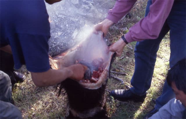 Mongolian Boodog -This one is prepared by cooking the animal – usually a goat or a marmot from inside out. Yes, the WHOLE animal. Mongolians are the best cooks for this: the animalis cooked in its own skin, with the help of hot rocks.