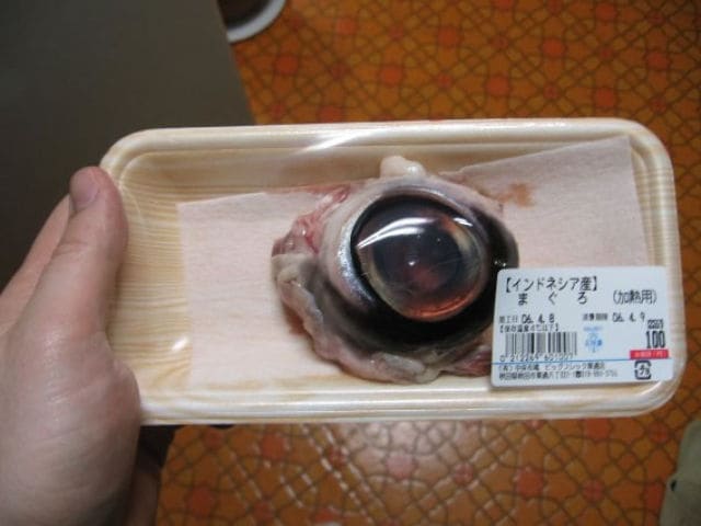 Tuna Eyeball -Usually served in Japan and China, the tuna eyeball is another weird dish that might not be for everyone’s taste. They say it tastes much better than it looks