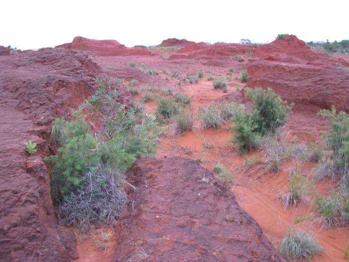 The world Betty Andreasson was taken to may have resembled this small patch of Earth.