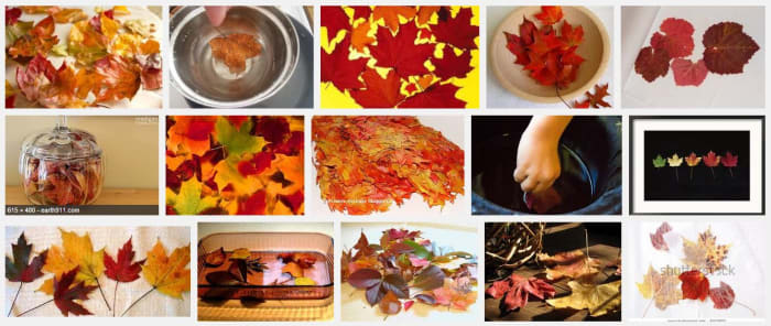 A screenshot of the different ways of preserving autumn leaves and different preserved leaves!