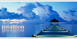 When One's Gut Is Telling Them Something, Many Follow Their Intuition