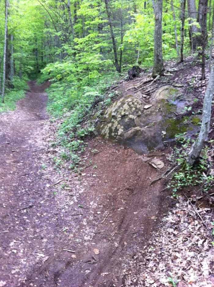 Bear Pen is one of a half dozen or so trails available to mountain bikers, just be careful of horses and people that may be coming the other way.