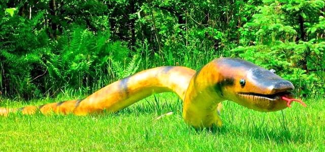 Mr. Anaconda gets lots of attention. People actually stopped by to ask Al about the anaconda in his yard. I am a little bit surprised that the snake never did get stolen being it was first displayed near the end of a long driveway.