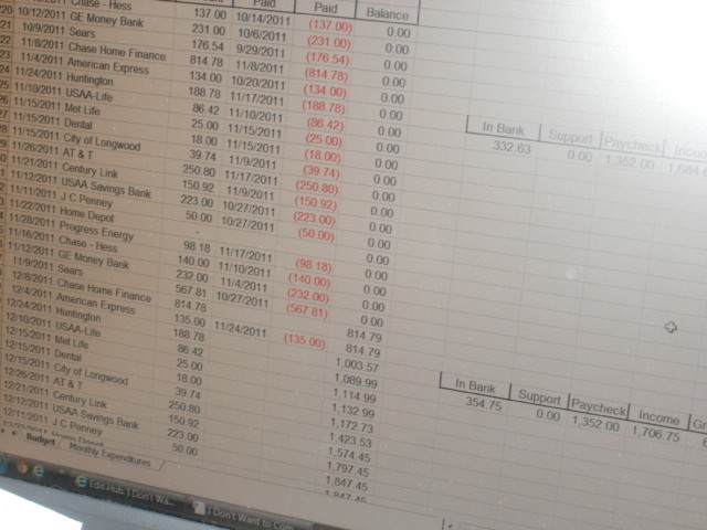 Spreadsheets, debits and credits. Try doing this day in and day out on a 13" monitor with an antiquated OS.