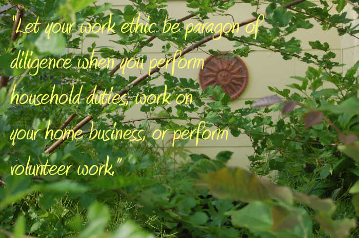 “Let your work ethic be paragon of diligence when you perform household duties, work on your home business, or perform volunteer work.” -Rain San Martin