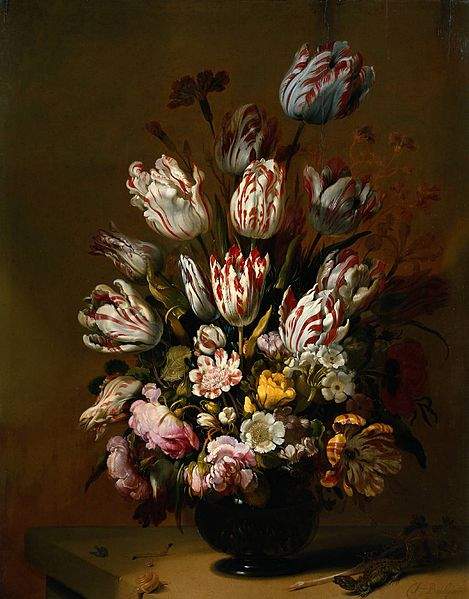 Multicolored tulips were among the most valued in the Netherlands in the 17th century, here illustrated in this Hans Bollongier painting from 1639.