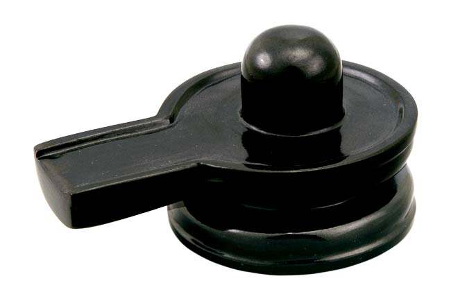 The Shiva Linga is a representation of the infinite Lord. The actual linga is the oval-sphere sitting atop the base. Since it has no beginning or end, it symbolises infinity.