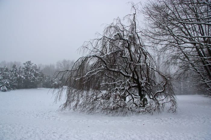 If you are weighed down by grief and sadness over the Christmas holidays, don't be afraid to seek professional support.