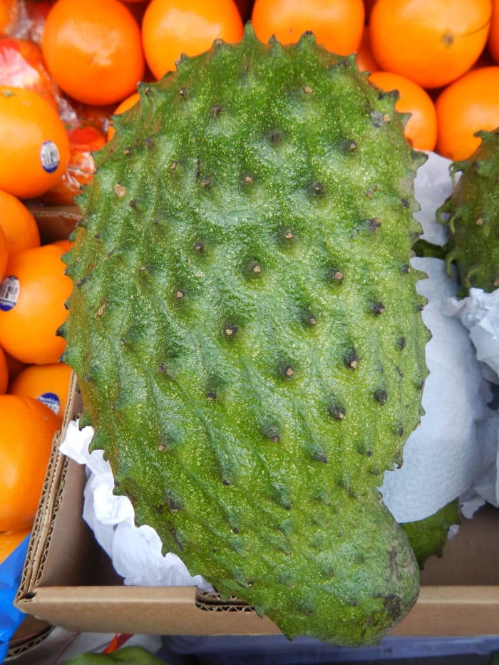 Soursop, Graviola or Guanabana fruit