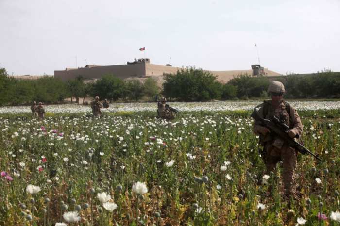 Government propaganda would have us believe that guarding the opium fields is in the best interest of peace.