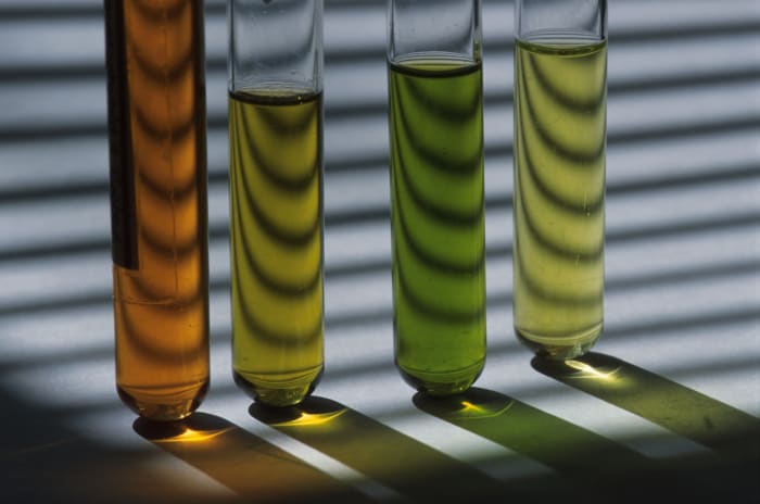 Pool Chemistry Made Easy with Lamotte ColorQ Pro 7