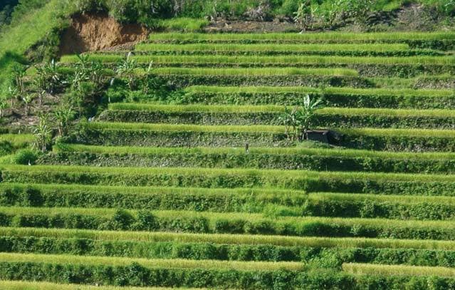 Local knowledge is vital in designing effective and appropriate solutions. It is vital to give local land users a forum to share their knowledge with other farmers and specialists