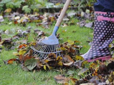 Small city lots, few trees... and raking is a pleasant sunny day chore. Anything more than that and you will be happy you purchased that lawn vac.