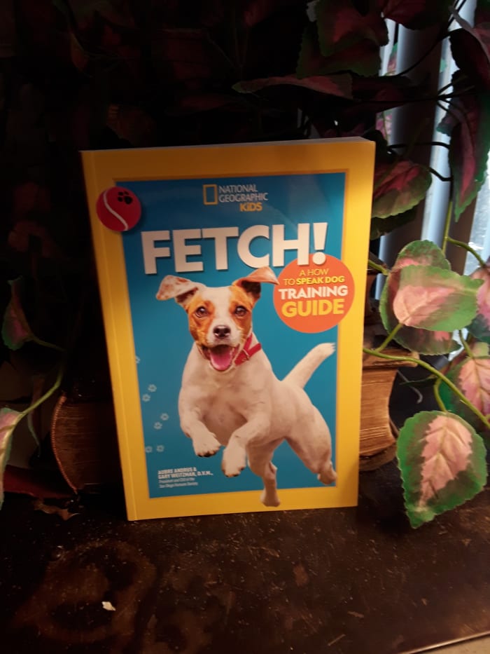 Great tool for kids to learn to train their dog