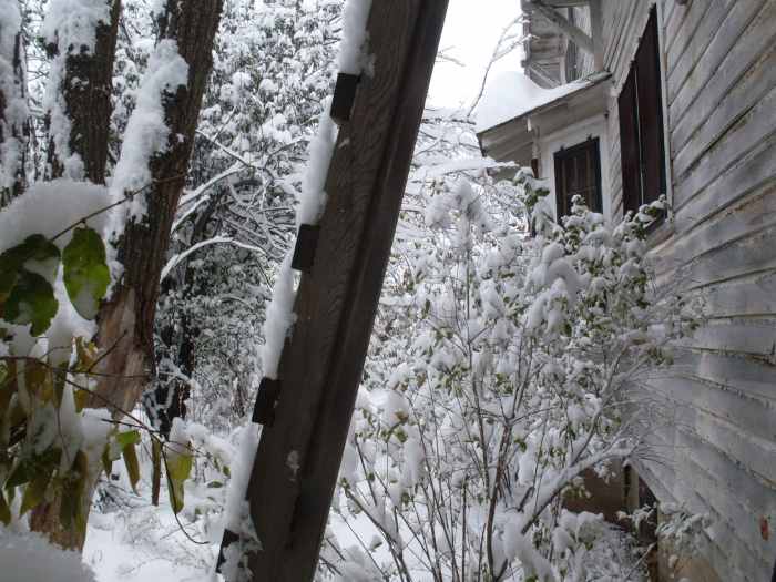 Our house's southern exposure includes a bay window, which helps warm the dining room even on cold days. However, the snow melts slowly amongst the trees, come spring.