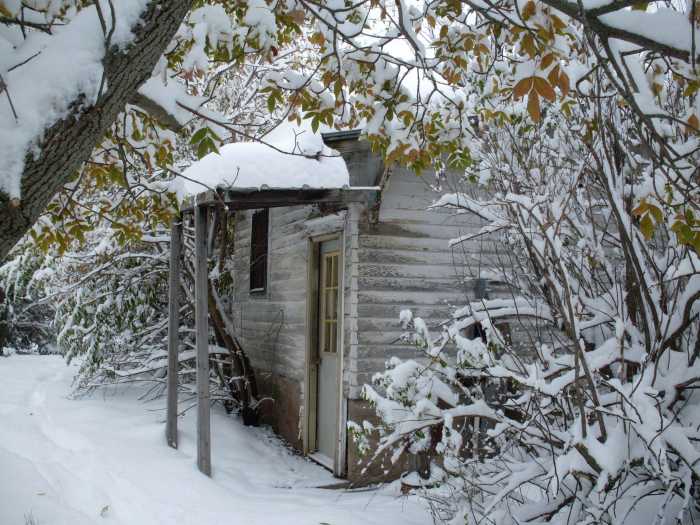My main door is in a cozy setting, but is still hinged to open against the prevailing winds. (Improvements have been made to the house since this photo taken in October 2009).