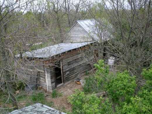 Ash trees and Belle honeysuckle bushes surround the house and several outbuildings, insulating the farmstead against not only wind, but sudden changes in temperature.