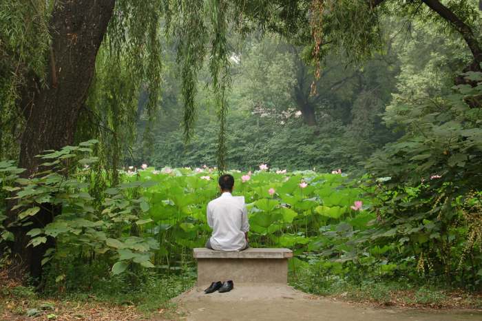Reiki can help to bring tranquility and peace to your life.
