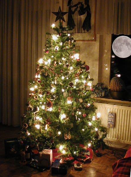 Is that a radiator back there? Don't place your tree near heat sources as they will dry out the tree.