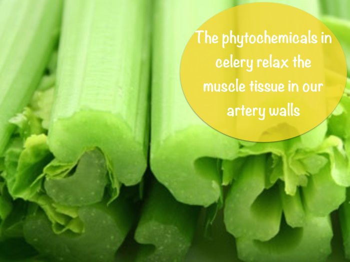 The phytochemicals in celery promote increased blood flow and a lowering of blood pressure.