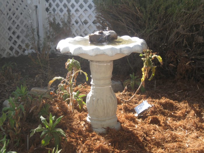 Here we see the project at completion. It is a fully adjustable and level concrete birdbath. Adding a branch will offer something for the birds to perch on.
