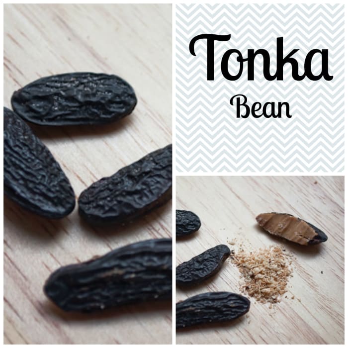 The Tonka bean is used in the food, perfumery, cosmetics and tobacco industry. Also used in traditional medicine for its antiseptic, expectorant properties. (Image edited by healthmunsta.)