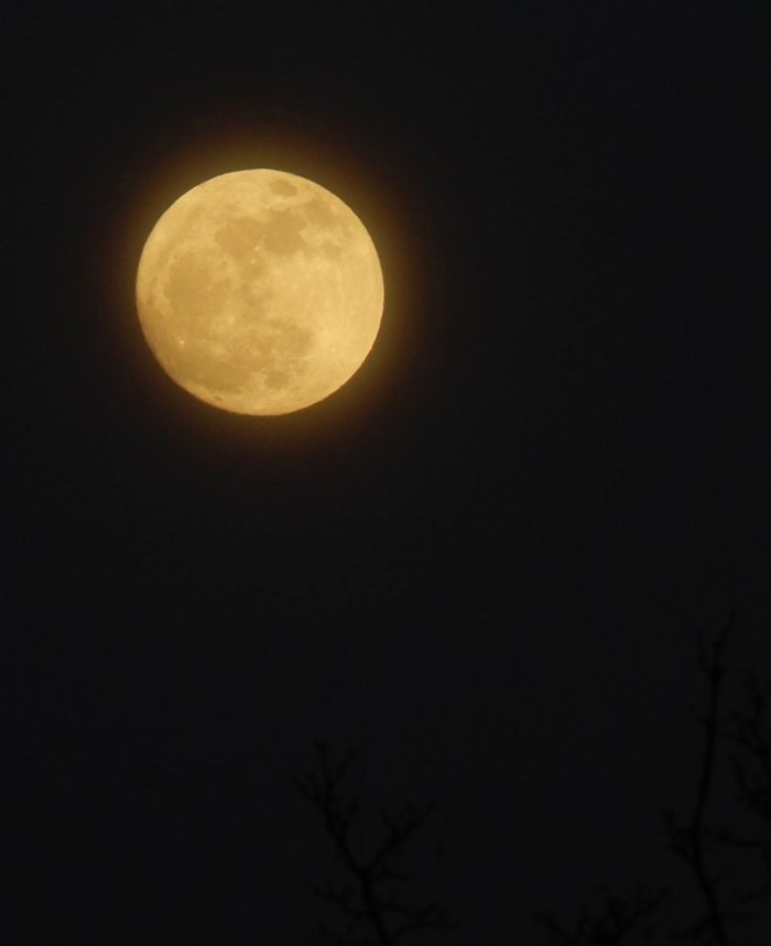 "When the night wind howls in the chimney cowls, and the bat in the moonlight flies..." ~ W. S. Gilbert