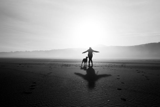 Some dogs may become obsessed about chasing shadows because we reinforce such behaviors with our attention.