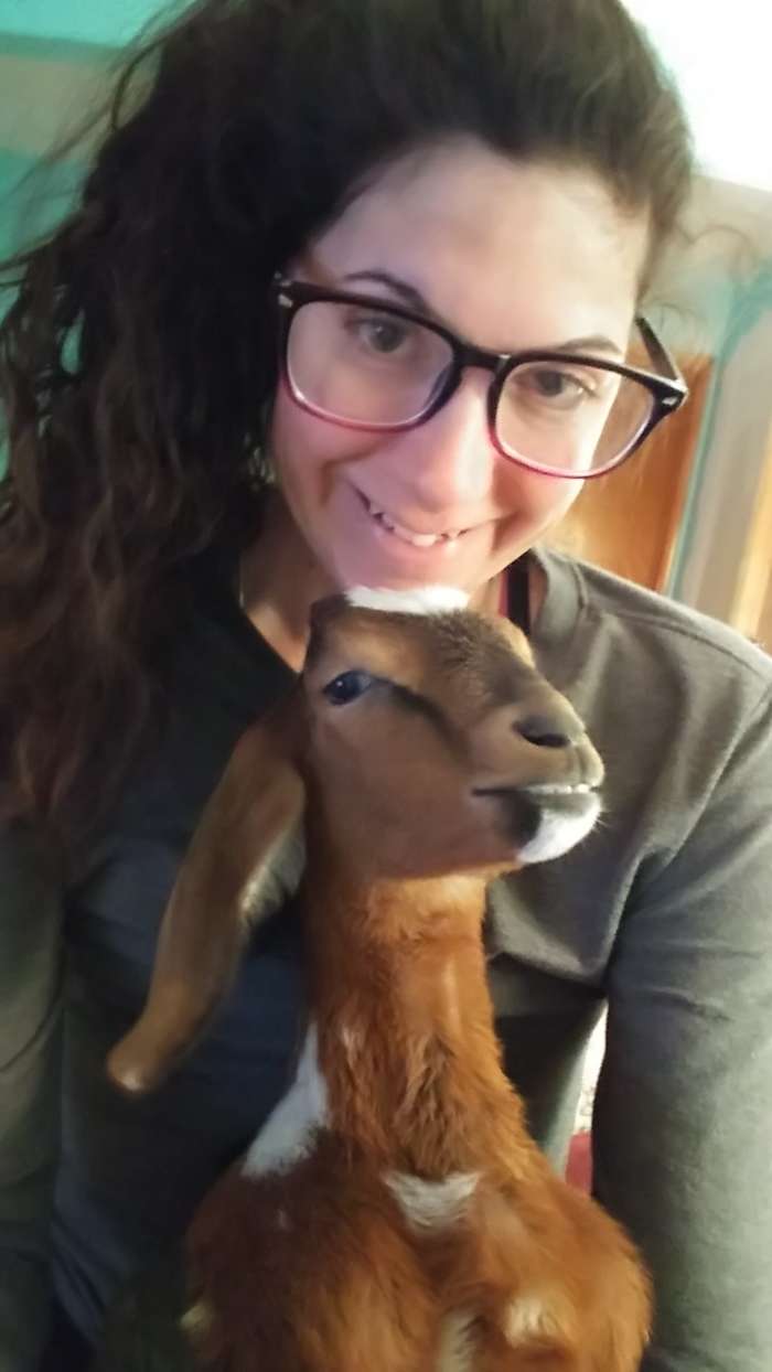 Cain was a bottle baby goat I was raising at the time I had the accident. He became my emotional support animal. The sweetest little goat ever.