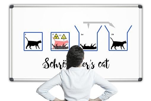 Schrodinger's cat. Both alive and dead at the same time—at least until the box is opened and the cat viewed.