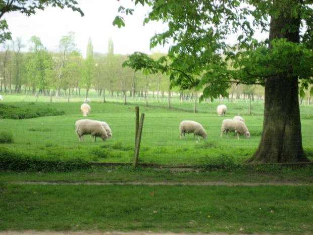 “I am the door: by me if any man enter in, he shall be saved, and shall go in and out, and find pasture." John 10:9-10.
