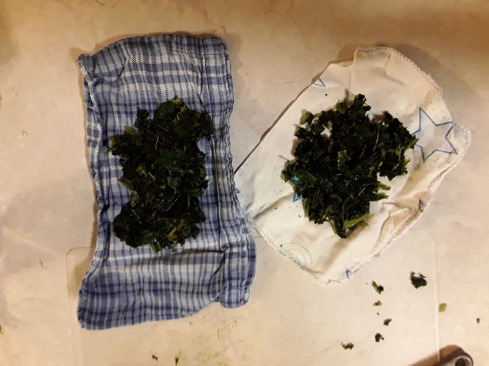 Two poultices ready to freeze or use. I did a double batch and had one ready first thing the following morning.